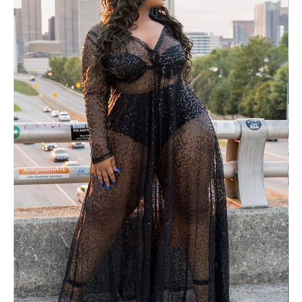 Shear lingerie dress