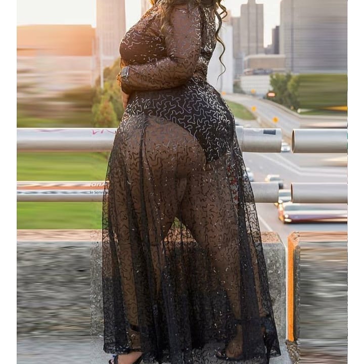 Shear lingerie dress